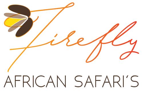 Firefly African Safari's-Logo-500px